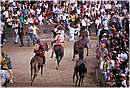 paliosiena0055.jpg