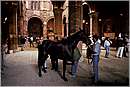 paliosiena0071.jpg
