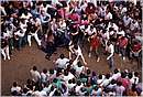 paliosiena0080.jpg