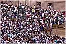 paliosiena0084.jpg