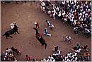 paliosiena0085.jpg