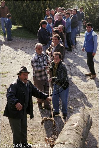 ITALY - PASTENA (FR)
Festa della SS. Croce (30 aprile - 3 maggio)
il maggio viene trascinato con corde a forza di braccia fino alla strada