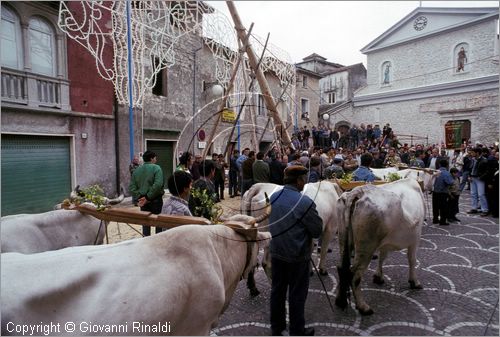 ITALY - PASTENA (FR)
Festa della SS. Croce (30 aprile - 3 maggio)
lavori per l'innalzamento del maggio nella piazza del paese