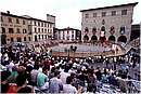 pistoiaorso0011.jpg
