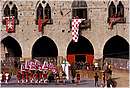 pistoiaorso0012.jpg