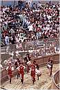 pistoiaorso0013.jpg