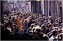 prizzidiavoli0014.jpg