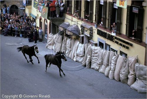 ITALY - RONCIGLIONE (VT)
Carnevale
Corse a vuoto di cavalli senza fantino lungo le vie della città