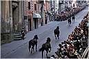 ronciglionefesta0007.jpg