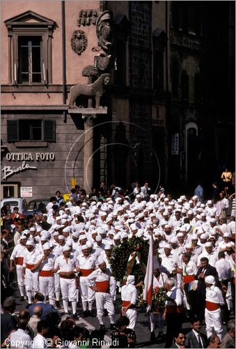 ITALY - VITERBO (3 settembre)
Festa della "Macchina di Santa Rosa)
il giro delle sette chiese dei facchini