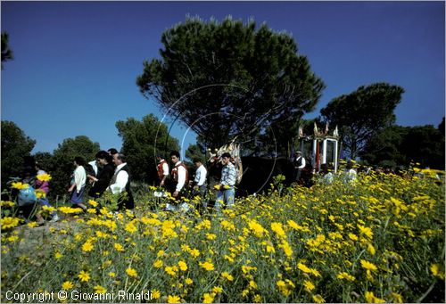 ITALY - CAGLIARI
Sagra di Sant'Efisio (1-4 maggio)
la processione porta la statua del Santo in un cocchio trainato da buoi dalla chiesa di Stampace a Cagliari fino a Nora, luogo del martirio.
passaggio in una zona di campagna