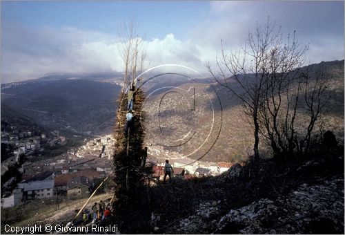 ITALY - SCANNO (AQ)  (10 novembre)
la Festa delle "Glorie di San Martino"
preparazione delle glorie che verronno bruciate la sera in enormi fal