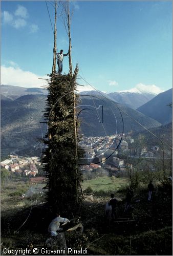 ITALY - SCANNO (AQ)  (10 novembre)
la Festa delle "Glorie di San Martino"
preparazione delle glorie che verronno bruciate la sera in enormi fal