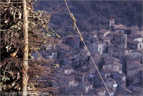 ITALY - SCANNO (AQ)  (10 novembre)
la Festa delle "Glorie di San Martino"
preparazione delle glorie che verronno bruciate la sera in enormi fal