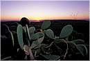 tramonto0033.jpg