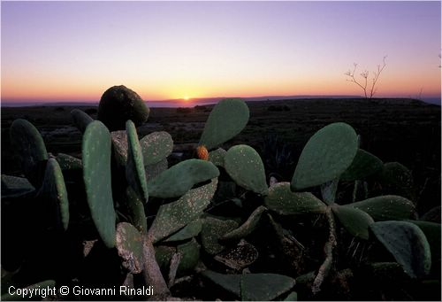 tramonto0033.jpg