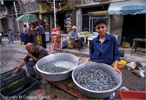 EGYPT - Alexandria - Suq el Manshia