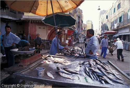 EGYPT - Alexandria - Suq el Manshia