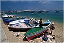 alexandria0024.jpg