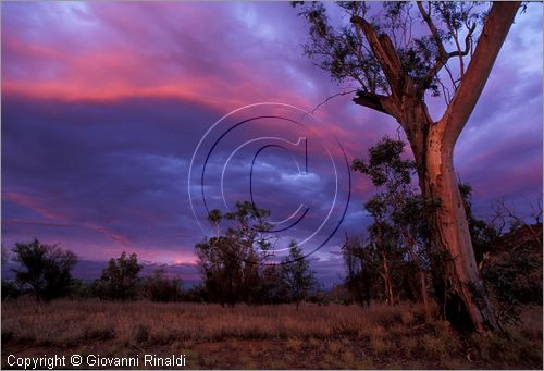 AUSTRALIA CENTRALE - (Alice Springs) - tramonto nel West McDonald Range