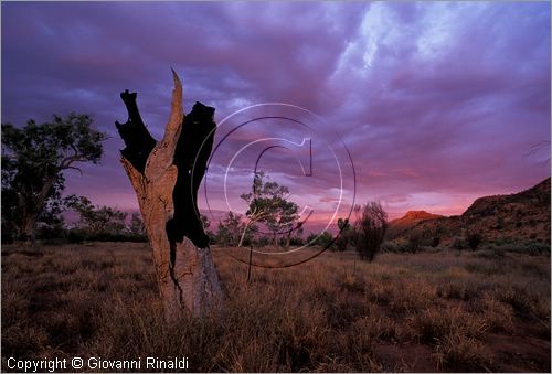 AUSTRALIA CENTRALE - (Alice Springs) - tramonto nel West McDonald Range