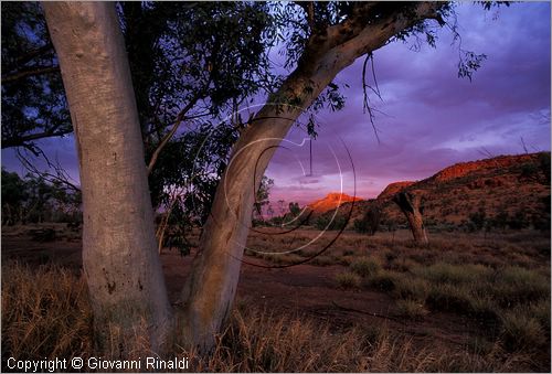 AUSTRALIA CENTRALE - (Alice Springs) - tramonto nel West McDonald Range