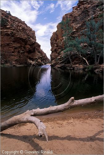 AUSTRALIA CENTRALE - (Alice Springs) - West McDonald Range - Ellery Creek Big Hole