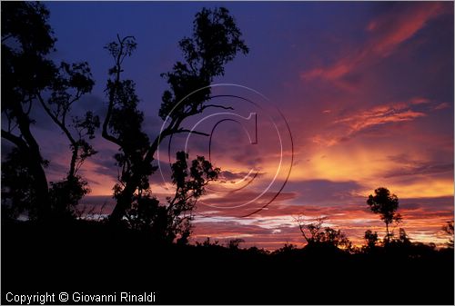 AUSTRALIA CENTRALE - (Alice Springs) - tramonto nel West McDonald Range