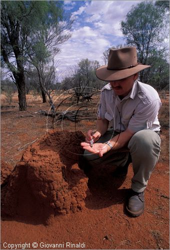 AUSTRALIA CENTRALE - (Alice Springs) - nel territorio di Bond Springs