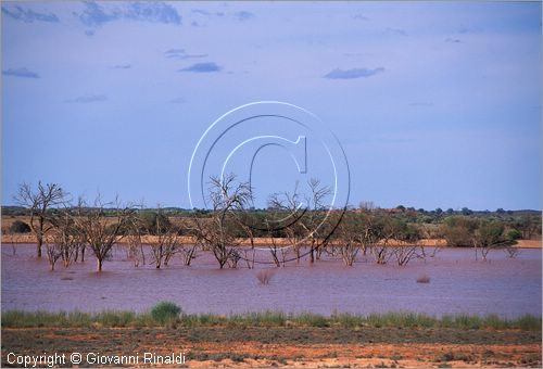 AUSTRALIA CENTRALE - laghi salati presso Curtin Springs