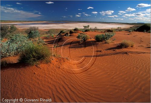 AUSTRALIA CENTRALE - paesaggio con sabbia rossa presso Curtin Springs