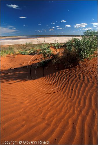 AUSTRALIA CENTRALE - paesaggio con sabbia rossa presso Curtin Springs