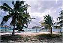 virginuk_anegada0016.jpg