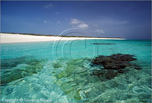 CARAIBI - ISOLE VERGINI BRITANNICHE - ISOLA DI ANEGADA - spiaggia Loblolly Bay