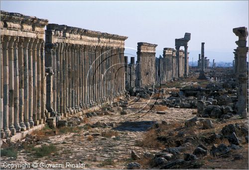 SIRIA - APAMEA (Qala'at al-Mudiq)
antica citt romana - la via principale (cardo) lunga 2 km e colonnata vista dalla Porta d'Antiochia