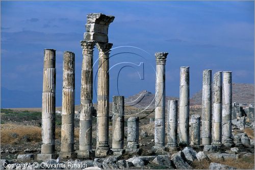 SIRIA - APAMEA (Qala'at al-Mudiq)
antica citt romana - la via principale (cardo) lunga 2 km e colonnata