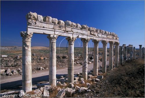 SIRIA - APAMEA (Qala'at al-Mudiq)
antica citt romana - la via principale (cardo) lunga 2 km e colonnata