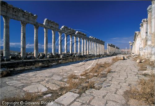 SIRIA - APAMEA (Qala'at al-Mudiq)
antica citt romana - la via principale (cardo) lunga 2 km e colonnata