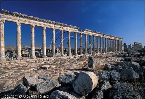 SIRIA - APAMEA (Qala'at al-Mudiq)
antica citt romana - la via principale (cardo) lunga 2 km e colonnata