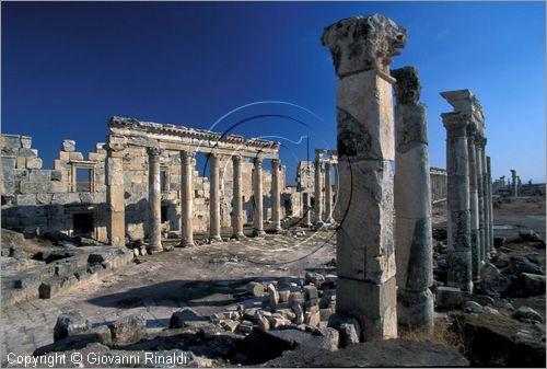 SIRIA - APAMEA (Qala'at al-Mudiq)
antica citt romana - la via principale (cardo) lunga 2 km e colonnata