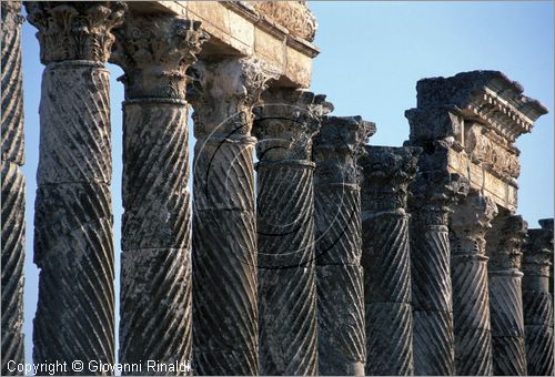 SIRIA - APAMEA (Qala'at al-Mudiq)
antica citt romana - la via principale (cardo) lunga 2 km e colonnata - particolare delle colonne e dei capitelli