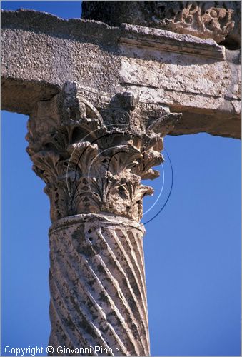 SIRIA - APAMEA (Qala'at al-Mudiq)
antica citt romana - la via principale (cardo) lunga 2 km e colonnata - particolare delle colonne e dei capitelli