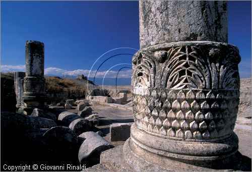SIRIA - APAMEA (Qala'at al-Mudiq)
antica citt romana - la via principale (cardo) lunga 2 km e colonnata - particolare delle colonne e dei capitelli