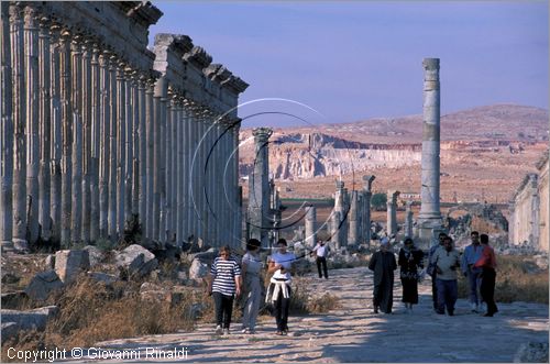 SIRIA - APAMEA (Qala'at al-Mudiq)
antica citt romana - la via principale (cardo) lunga 2 km e colonnata