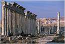 apamea0002.jpg