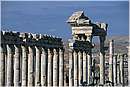 apamea0004.jpg