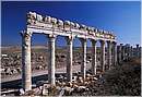 apamea0006.jpg