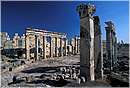 apamea0010.jpg