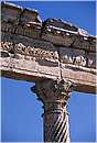 apamea0016.jpg