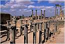 bosra0028.jpg